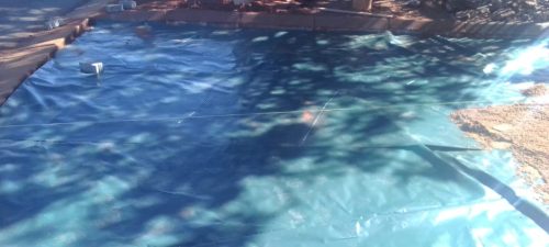 WhatsApp-Image-2025-12-23-at-09.56.53